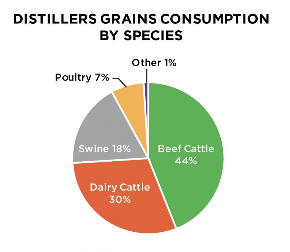 Distillers Grains Consumption by Species
