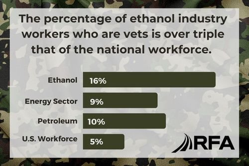 Vet Workforce