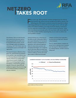 netzero_brief_Page_1