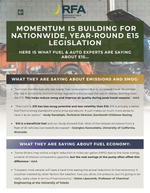 Fuel and Auto Experts on E15_Page_1