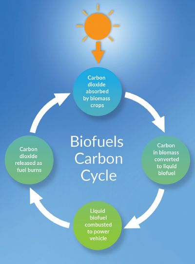 carboncycle-no-text