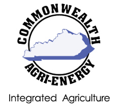 Commonwealth Logo